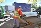 El municipio pone en marcha la campaña de recolección de hojas