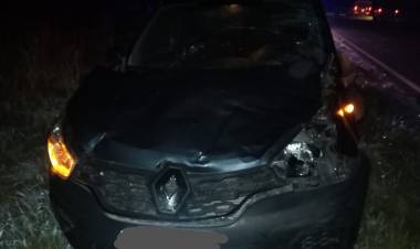 Chocó una vaca en ruta Nº 19 y por fortuna solo sufrió daños materiales