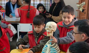 58° Feria de Ciencias: seleccionaron los proyectos que participarán en la gran instancia provincial 