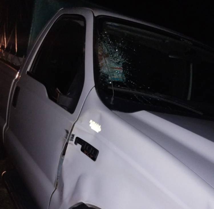 Las Varillas: Impactó su camioneta con un caballo sobre Ruta 13 