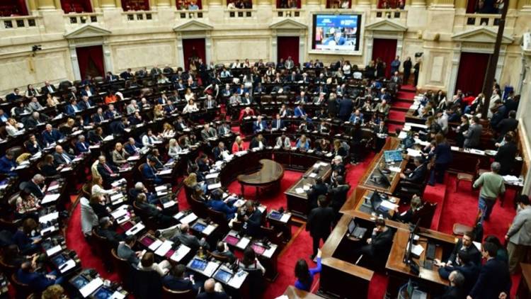 Diputados rechazó los vetos al financiamiento universitario y Garraham