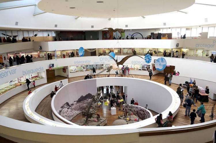El Museo de Ciencias Naturales abre una convocatoria para proyectos que unan arte y ciencia