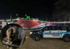 Rescataron a una mona carayá de 18 años en Pozo del Molle: estaba en un circo