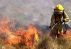Bomberos combaten el fuego en siete puntos de la provincia
