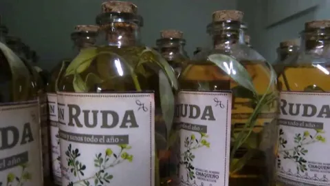 Caña con ruda: la tradición de cada 1 de agosto