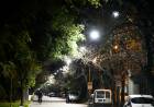 A poco de completarse, el eje Este de la ciudad ya cuenta con alrededor de 4.000 luminarias LED