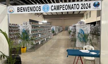 San Francisco será sede del 72º Campeonato Argentino de Canaricultura 