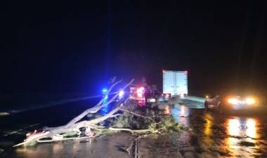 Quiso esquivar una rama y volcó el acoplado de su camión 