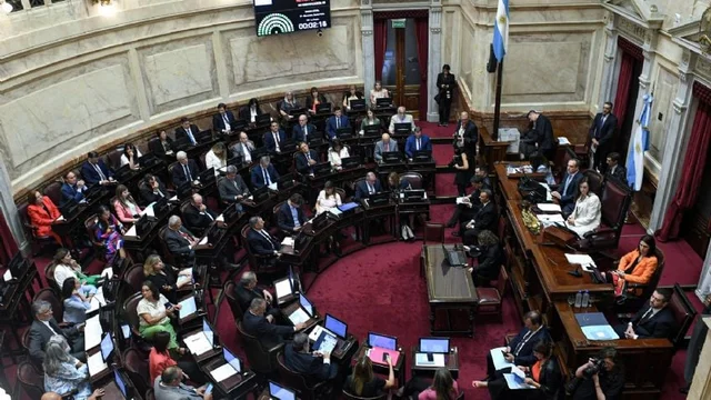 El Senado se aumentó nuevamente las dietas: pasarán a cobrar $8,3 millones