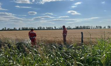 Bomberos Voluntarios controló incendio de banquina en zona rural de Plaza San Francisco