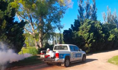 Desde el municipio aseguran que se trabaja para demorar el crecimiento poblacional del mosquito del dengue 