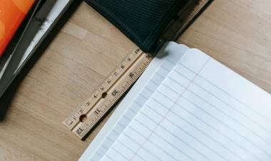 Diputados aprobó Ficha Limpia: de convertirse en ley en el Senado, Cristina Kirchner no podrá ser candidata