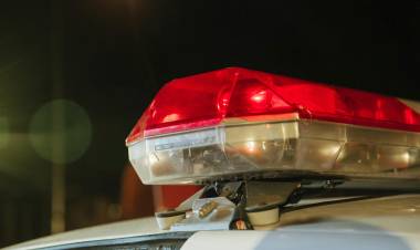 San Francisco: detienen a un hombre por robar paltas tras saltar un tapial