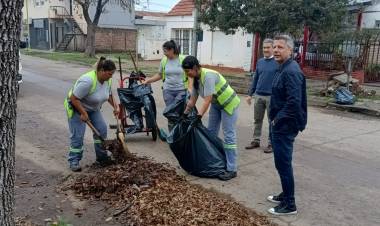 El municipio avanza con la campaña de recolección de hojas en los barrios