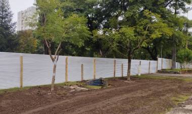 Reubican árboles por las obras en la Plaza Cívica