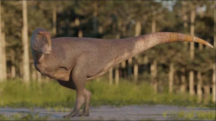Hallazgo en la Patagonia: encontraron un nuevo dinosaurio carnívoro