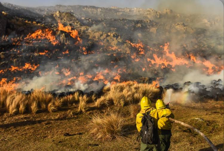 El índice de riesgo para incendios forestales está en alerta extremo