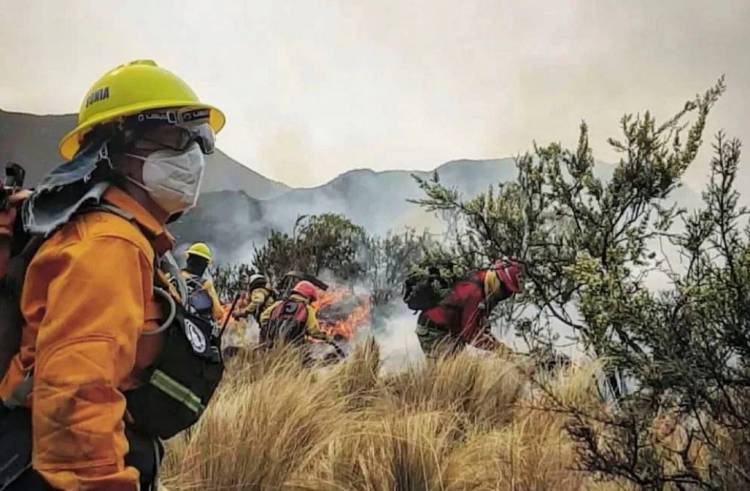 Situación actual de los incendios en sierras de Córdoba