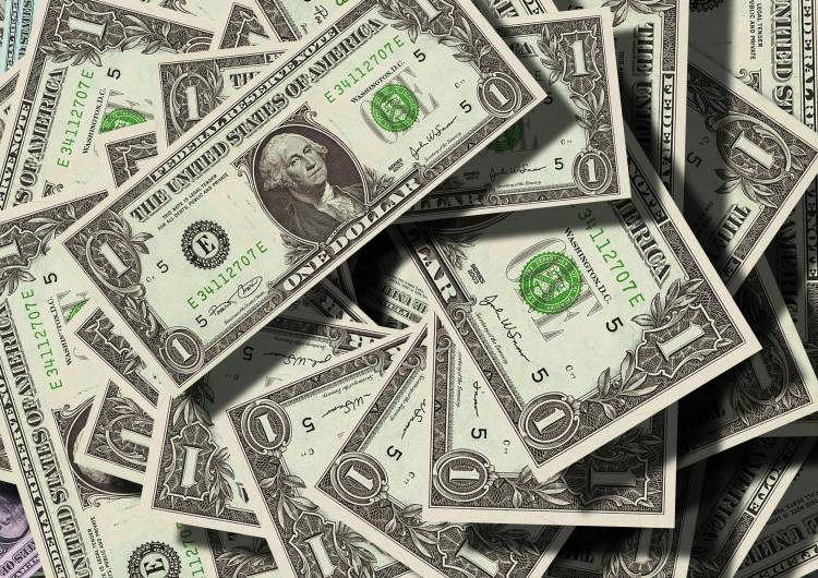 El Banco Central ya compró US$ 876 millones en lo que va del año
