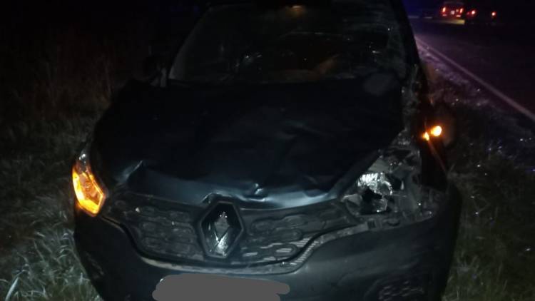 Chocó una vaca en ruta Nº 19 y por fortuna solo sufrió daños materiales