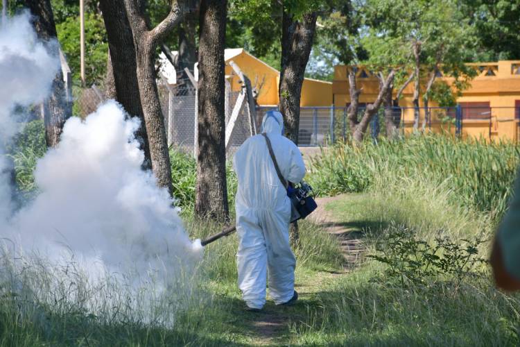 Dengue: sin casos positivos hasta el momento, el municipio continúa con trabajos preventivos 