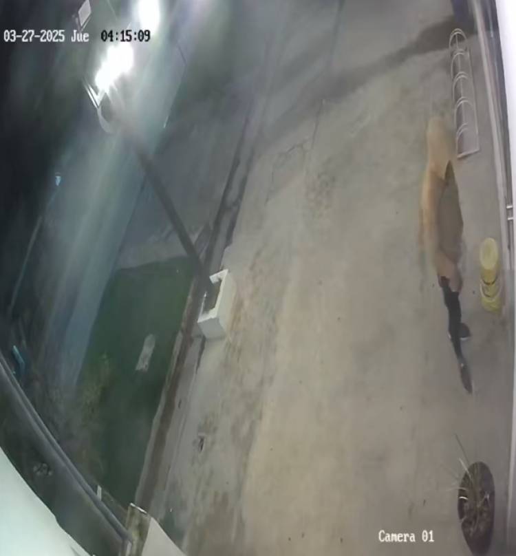 Robo y vandalismo en sucursal de Alto Vea y Pase: dos episodios en menos de un mes