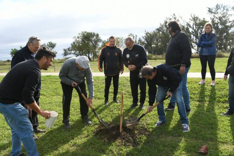 Arbolado Urbano: 40 nuevos ejemplares se plantaron en la costanera norte