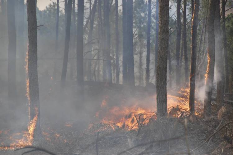 La Provincia declaró el estado de alerta ambiental por riesgo de incendios