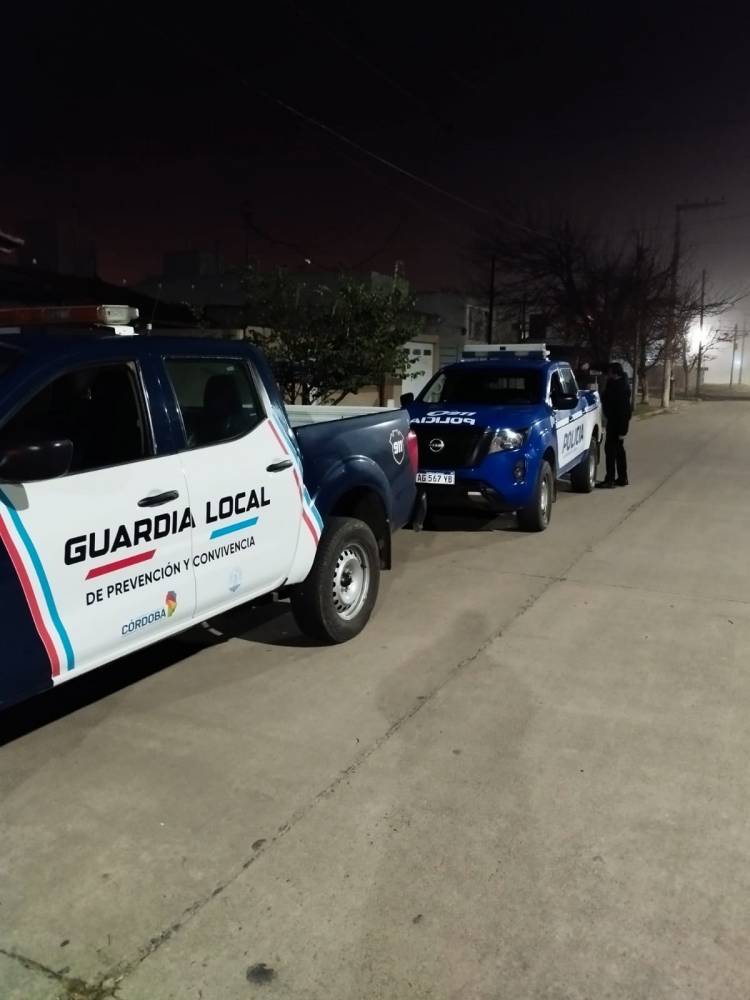 Un hombre fue detenido por el robo de un disco de arado en un local comercial