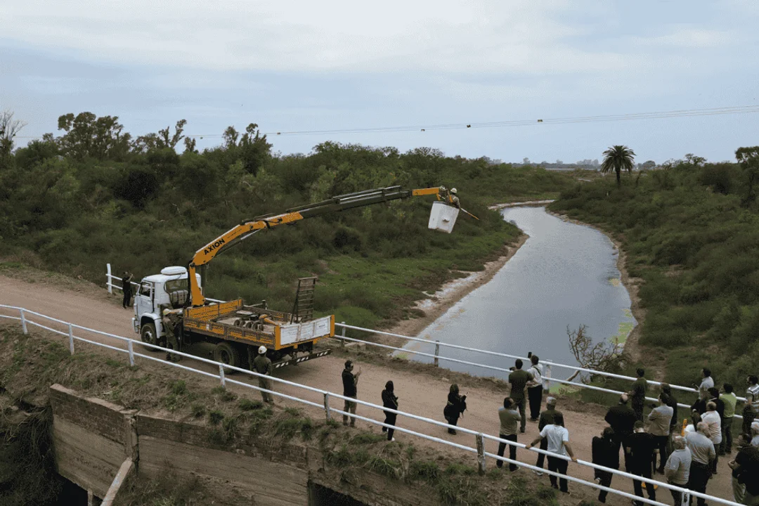 Ansenuza: la Provincia instaló desviadores de vuelo en líneas eléctricas para proteger aves migratorias