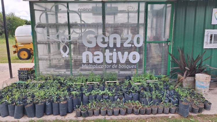 Vivero Municipal: Un laboratorio de especies arbóreas que llama la atención de la comunidad