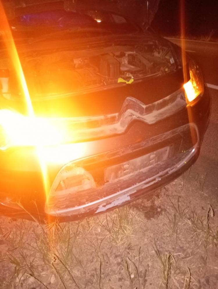 Accidente en Autovia 19: chocó nada de rodamiento de camión suelta en la ruta