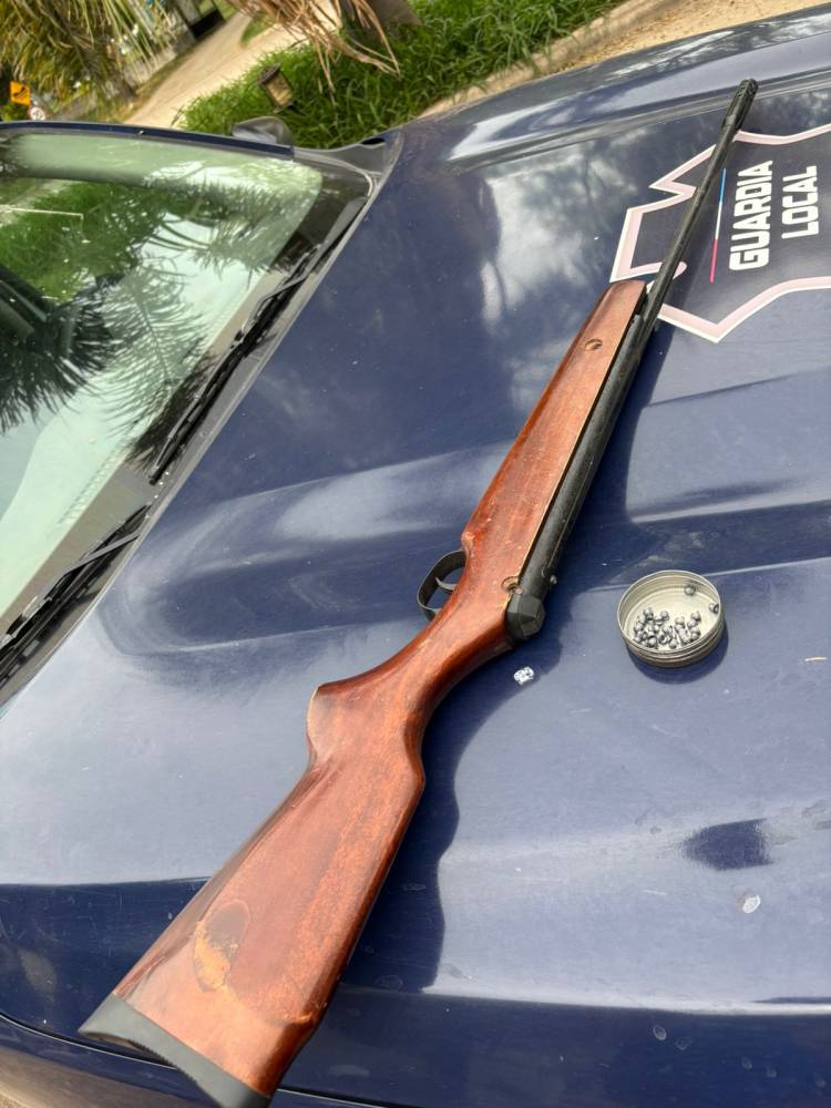 Cuatro hombres con rifle de aire comprimido fueron interceptados en calle Pueyrredón
