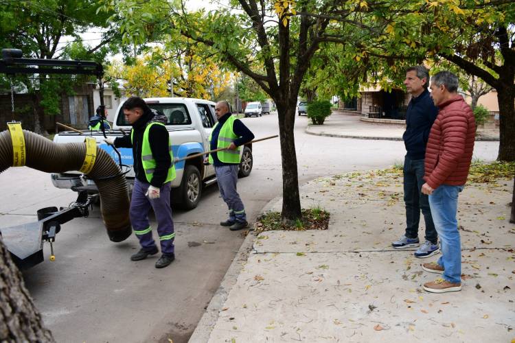 El municipio continúa trabajando en la campaña de recolección de hojas